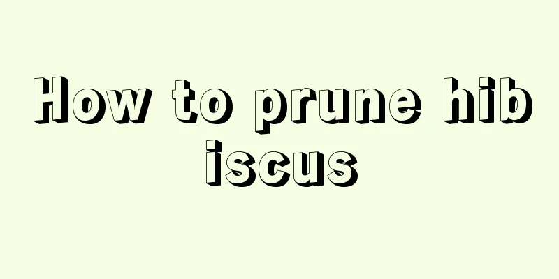 How to prune hibiscus