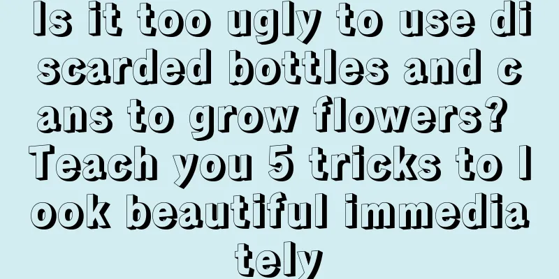 Is it too ugly to use discarded bottles and cans to grow flowers? Teach you 5 tricks to look beautiful immediately