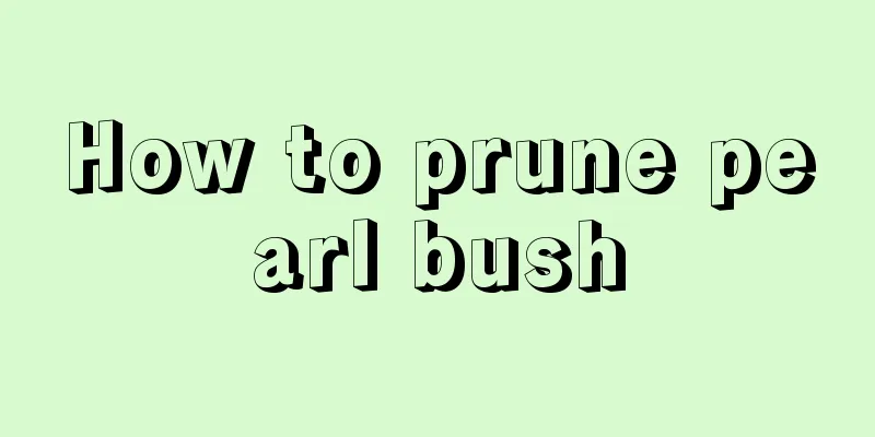 How to prune pearl bush