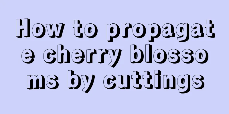 How to propagate cherry blossoms by cuttings