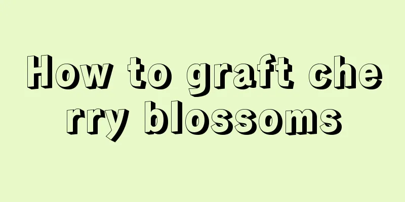 How to graft cherry blossoms