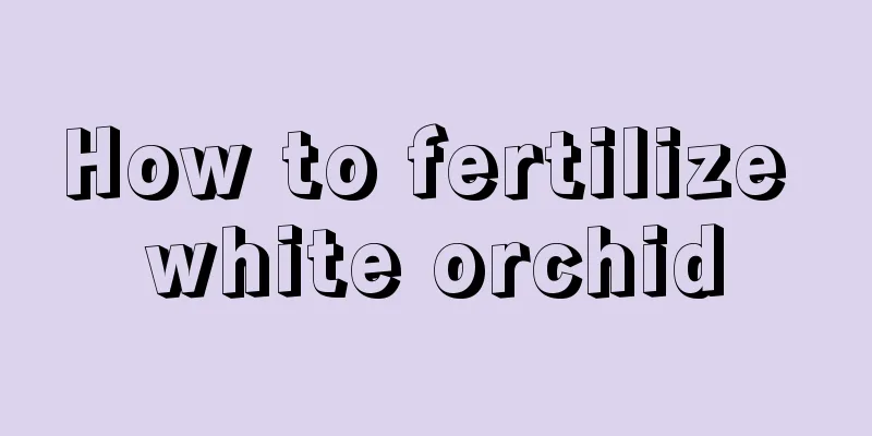 How to fertilize white orchid