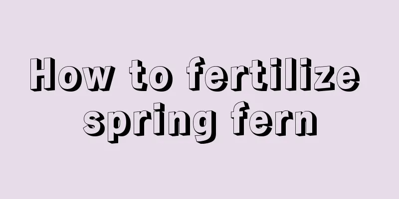 How to fertilize spring fern