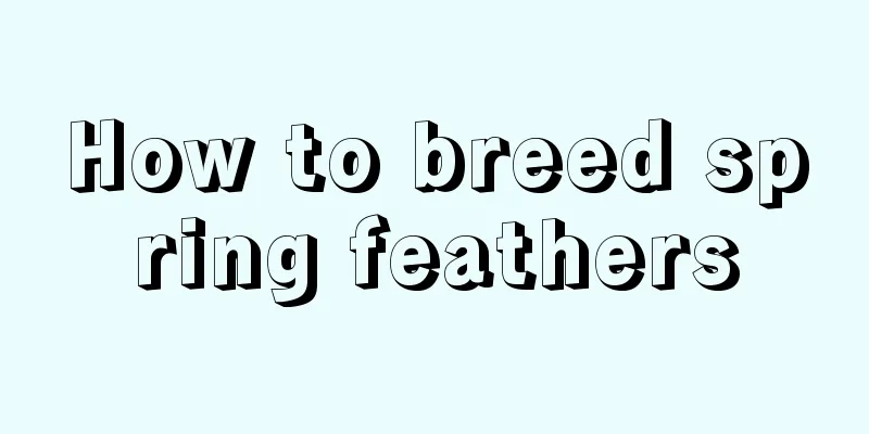 How to breed spring feathers