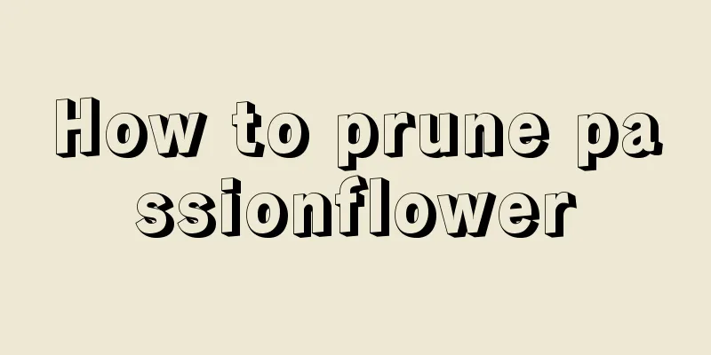 How to prune passionflower