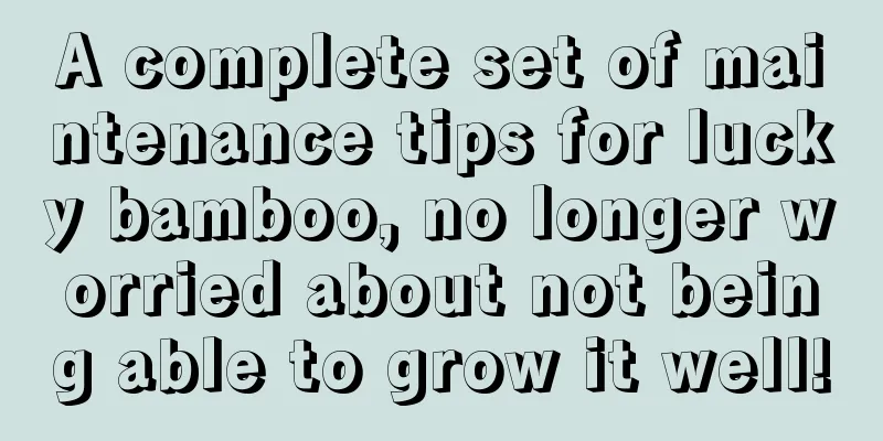 A complete set of maintenance tips for lucky bamboo, no longer worried about not being able to grow it well!