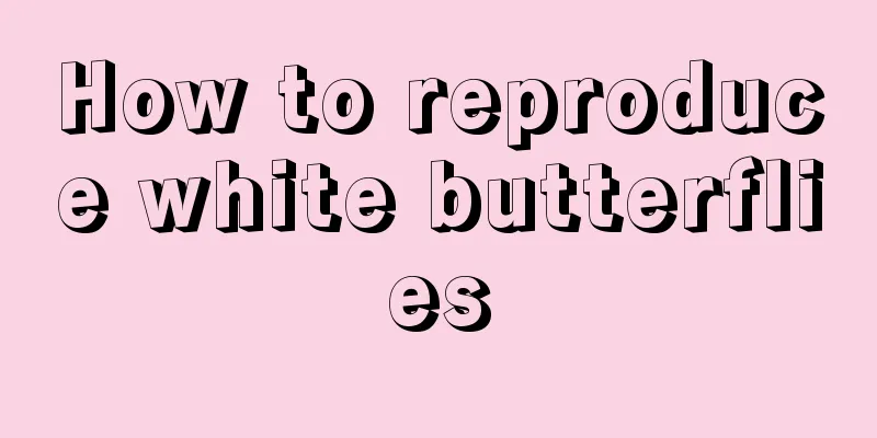 How to reproduce white butterflies