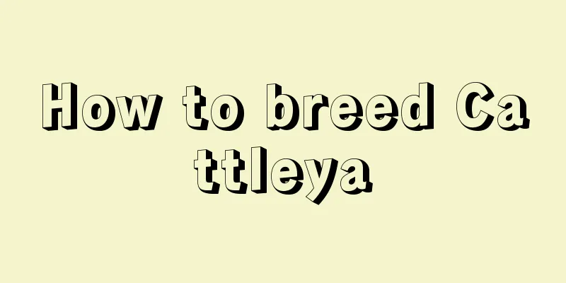 How to breed Cattleya