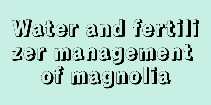 Water and fertilizer management of magnolia