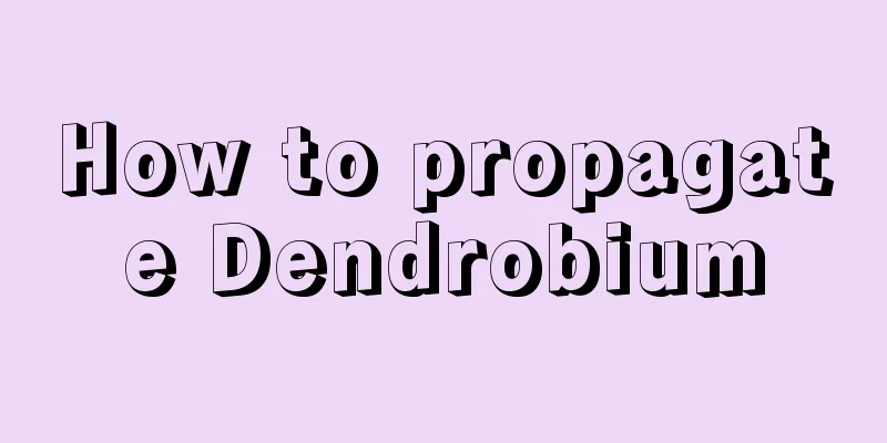 How to propagate Dendrobium