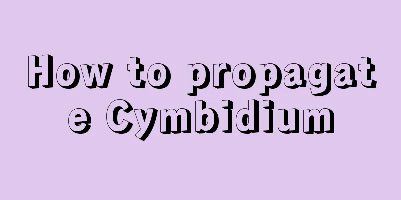 How to propagate Cymbidium