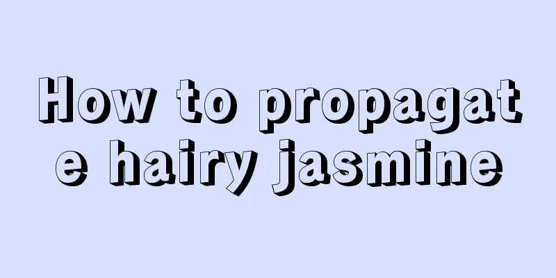 How to propagate hairy jasmine