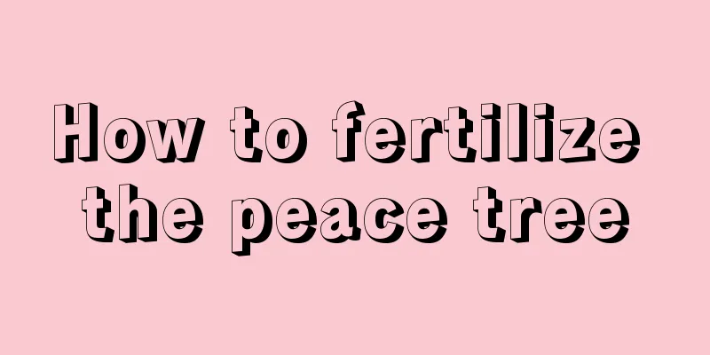 How to fertilize the peace tree