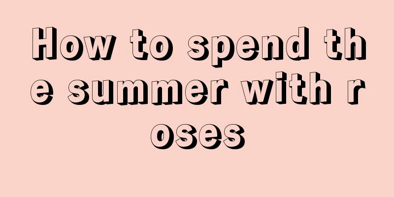 How to spend the summer with roses