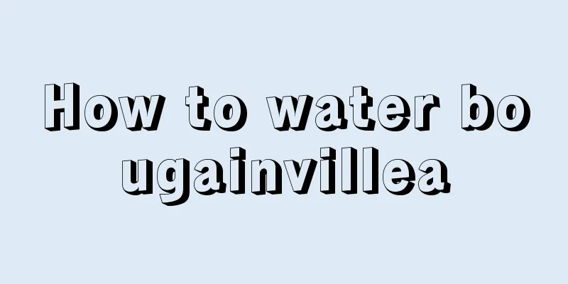 How to water bougainvillea