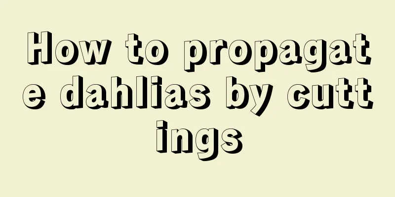 How to propagate dahlias by cuttings