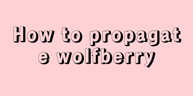 How to propagate wolfberry