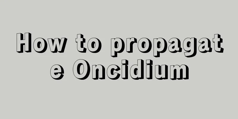 How to propagate Oncidium