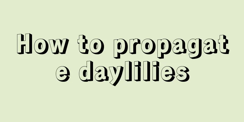 How to propagate daylilies