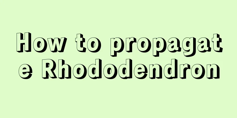 How to propagate Rhododendron