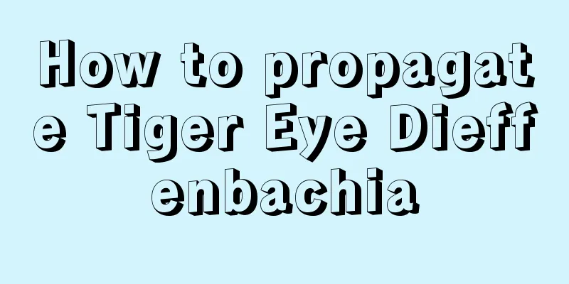 How to propagate Tiger Eye Dieffenbachia