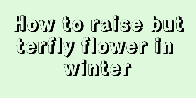 How to raise butterfly flower in winter