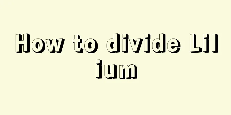 How to divide Lilium