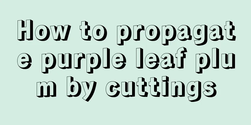 How to propagate purple leaf plum by cuttings