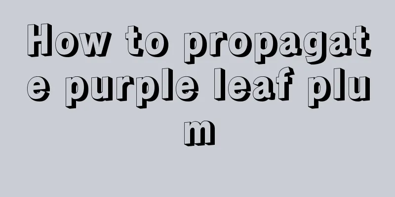 How to propagate purple leaf plum