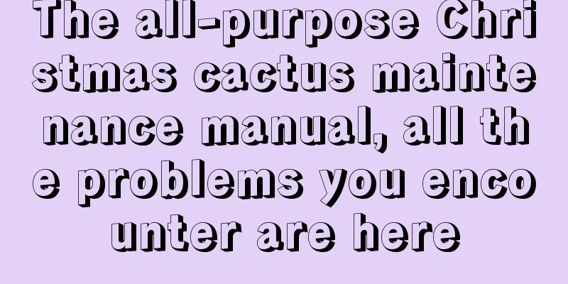 The all-purpose Christmas cactus maintenance manual, all the problems you encounter are here