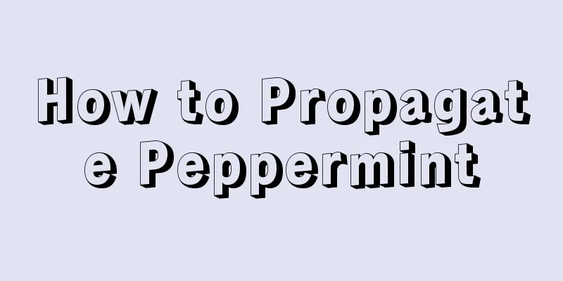 How to Propagate Peppermint