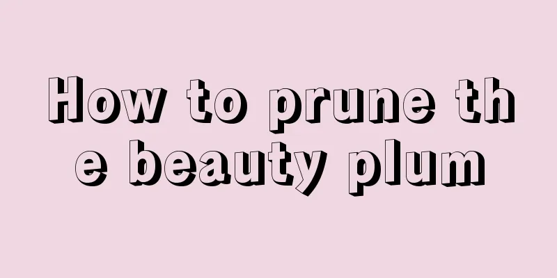 How to prune the beauty plum