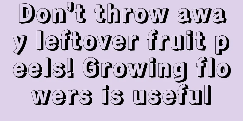 Don’t throw away leftover fruit peels! Growing flowers is useful