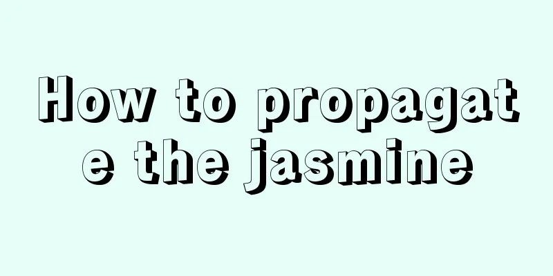 How to propagate the jasmine