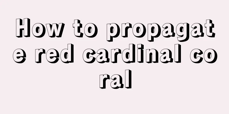 How to propagate red cardinal coral