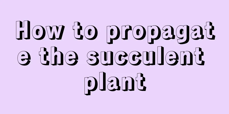 How to propagate the succulent plant