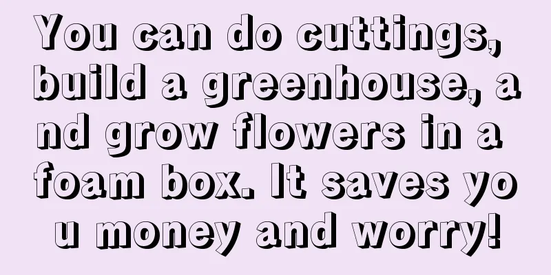 You can do cuttings, build a greenhouse, and grow flowers in a foam box. It saves you money and worry!