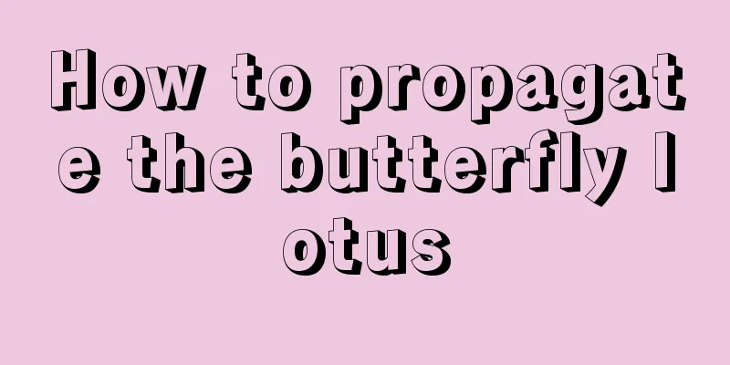 How to propagate the butterfly lotus