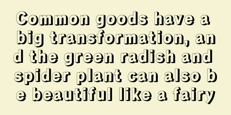 Common goods have a big transformation, and the green radish and spider plant can also be beautiful like a fairy