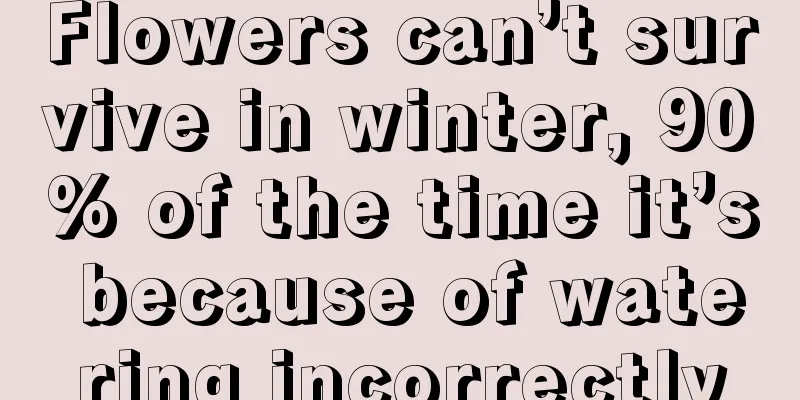 Flowers can’t survive in winter, 90% of the time it’s because of watering incorrectly