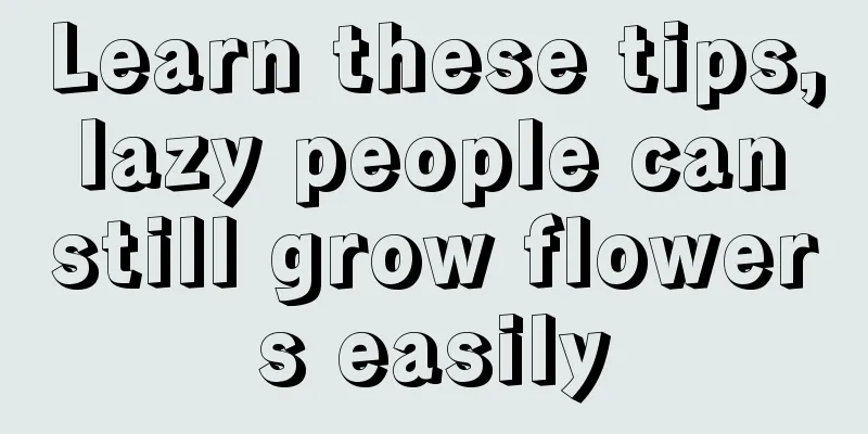 Learn these tips, lazy people can still grow flowers easily