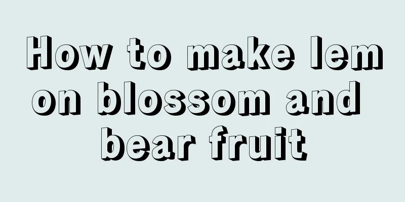 How to make lemon blossom and bear fruit