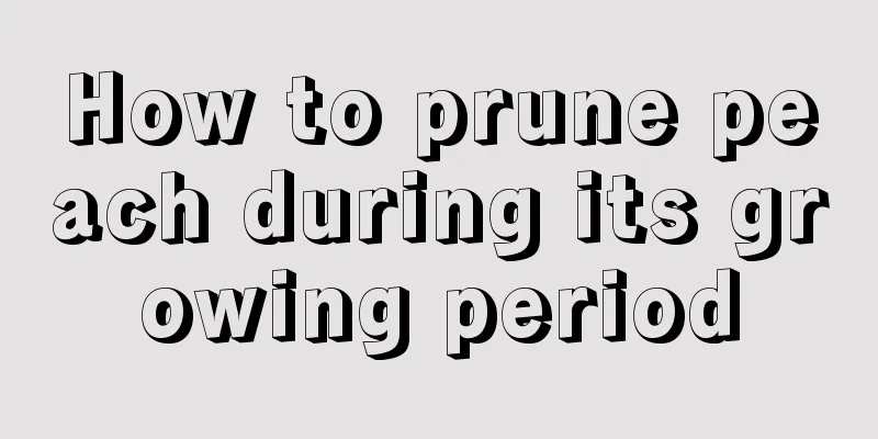 How to prune peach during its growing period