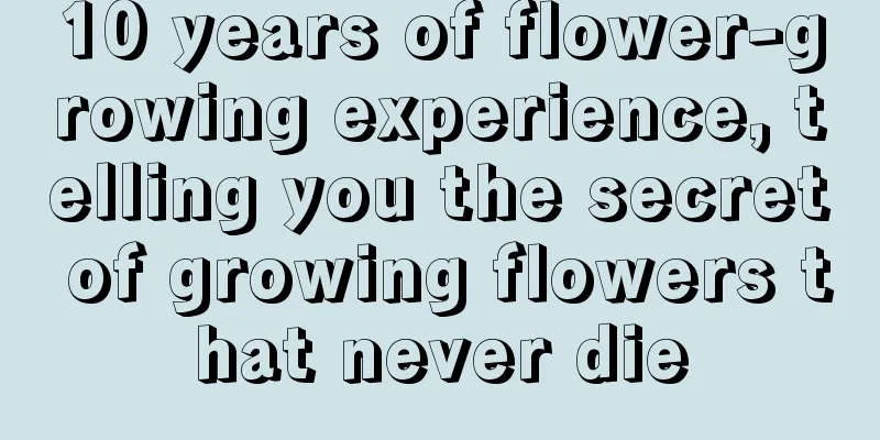 10 years of flower-growing experience, telling you the secret of growing flowers that never die