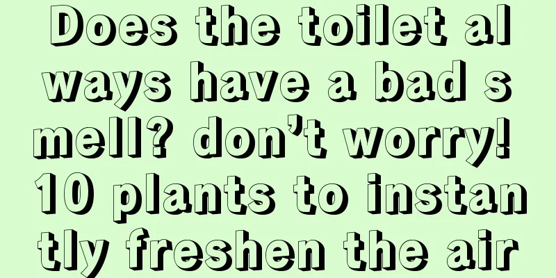 Does the toilet always have a bad smell? don’t worry! 10 plants to instantly freshen the air