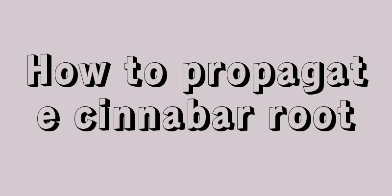 How to propagate cinnabar root