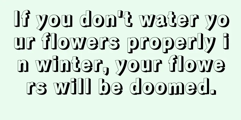 If you don't water your flowers properly in winter, your flowers will be doomed.