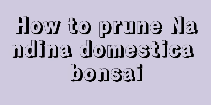 How to prune Nandina domestica bonsai