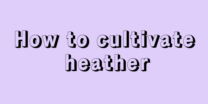 How to cultivate heather