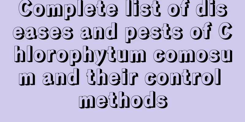 Complete list of diseases and pests of Chlorophytum comosum and their control methods